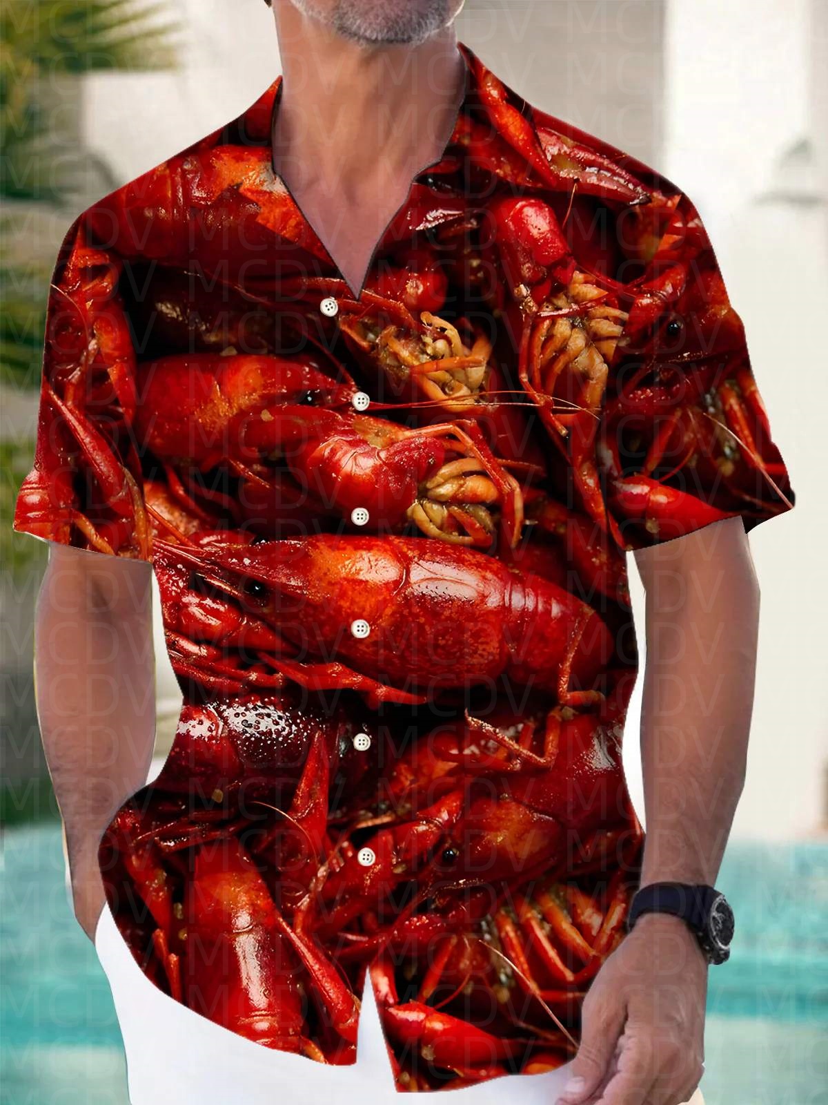Hawaiihemd für Herren mit Lebe – Shirt Camp Collar Bewertung und Preis